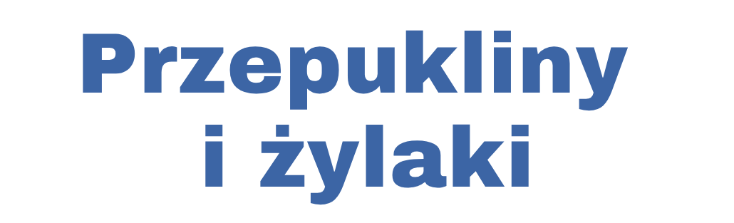 Przepukliny i żylaki